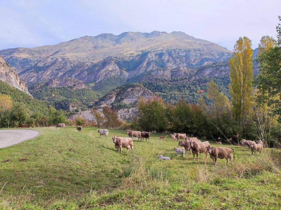 El Refugio De Tena - Tucasaenlospirineos Escarrilla Eksteriør billede